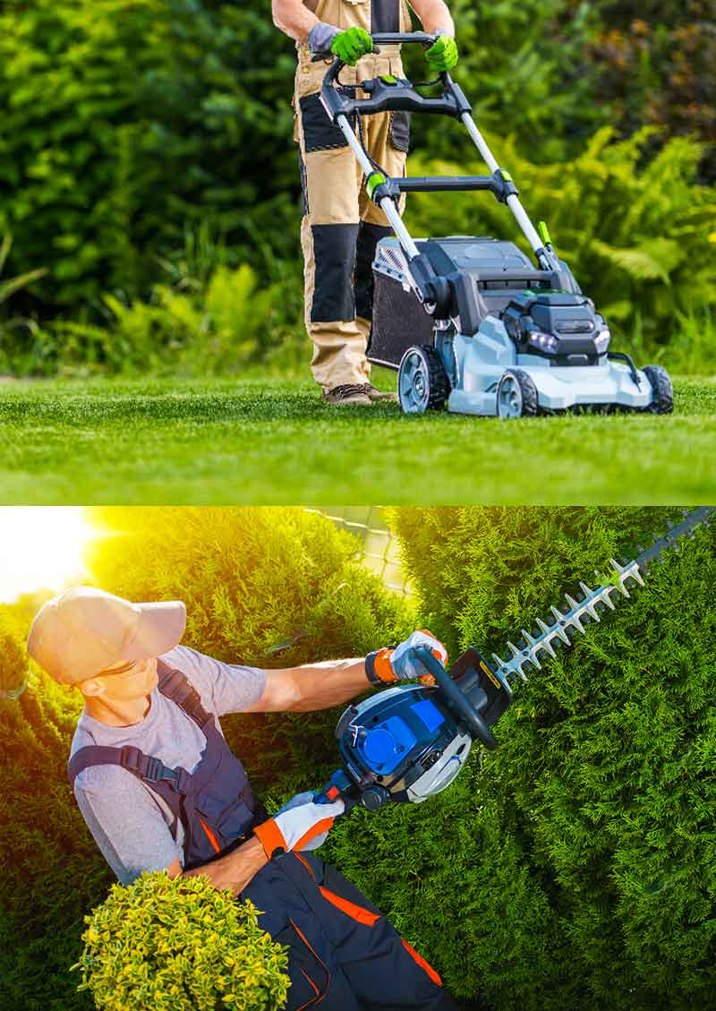 Entretien jardin - VJP ELAGUEUR 73 : Paysagiste, jardinier : espaces verts : Taille des haies, tonte pelouse, désherbage, entretien des plantations sur Chambéry, Savoie, Rhône-Alpes