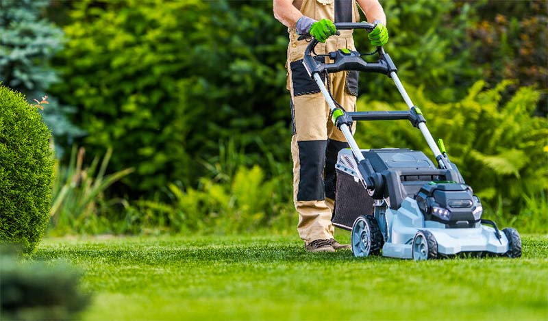 Entretien jardin - VJP ELAGUEUR 73 : Paysagiste, jardinier : espaces verts : Taille des haies, tonte pelouse, désherbage, entretien des plantations sur Chambéry, Savoie, Rhône-Alpes
