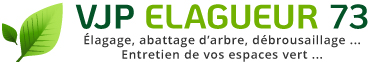 VJP ÉLAGUEUR 73