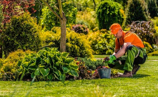 VJP ELAGUEUR 73 - Entreprise Rose : Hautes-Alpes (05) : Elagage, abattage arbres, étêtage, dessouchage et le débroussaillage du terrain. travaux d’espaces verts, jardin et d’extérieurs, : tailles des haies, tonte de pelouse sur Chambéry, Savoie, Rhône-Alpes